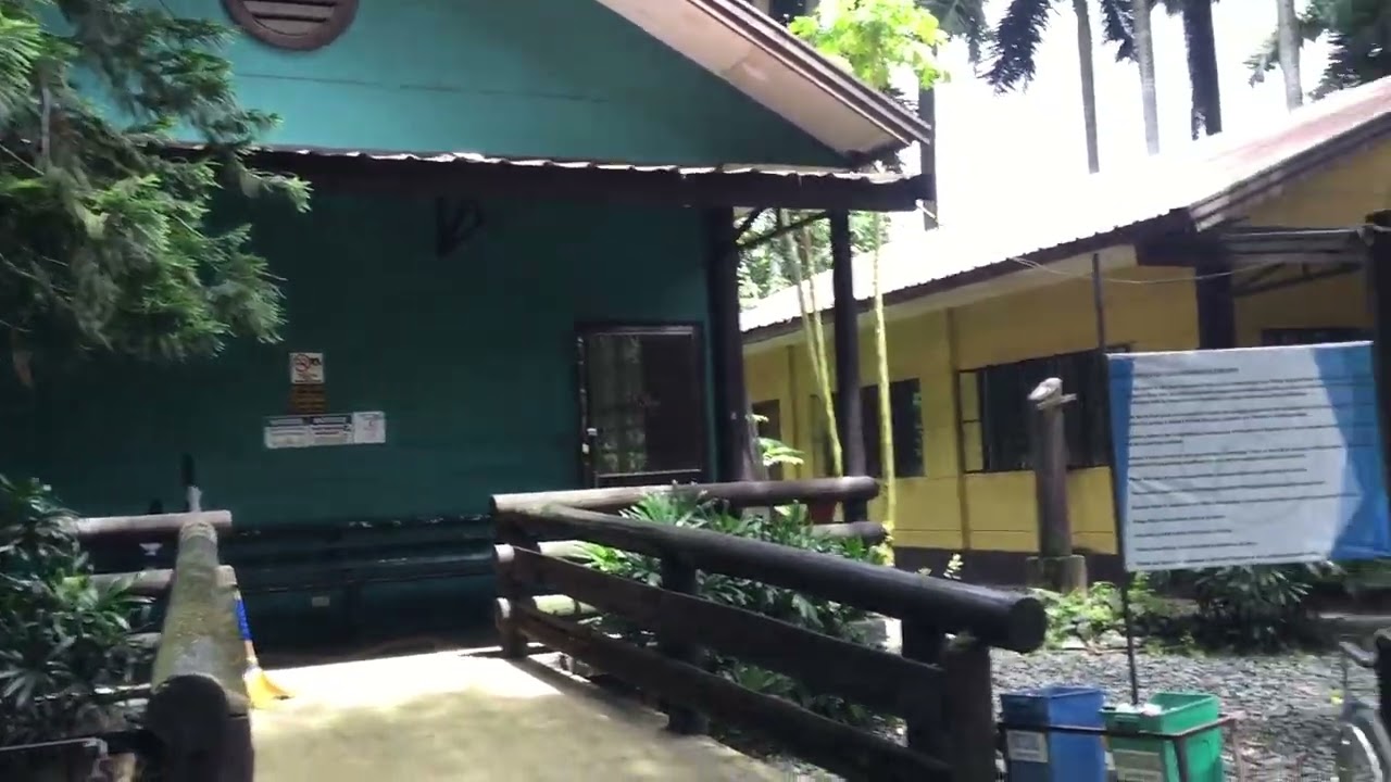 Visit @ Anawim Lay Missions Foundation, Inc in Brgy. San Isidro, Rizal...a day with lolo’s n lola’s.