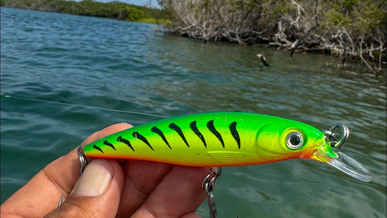 probando este color de señuelo Xrap 10 con buenas peleas