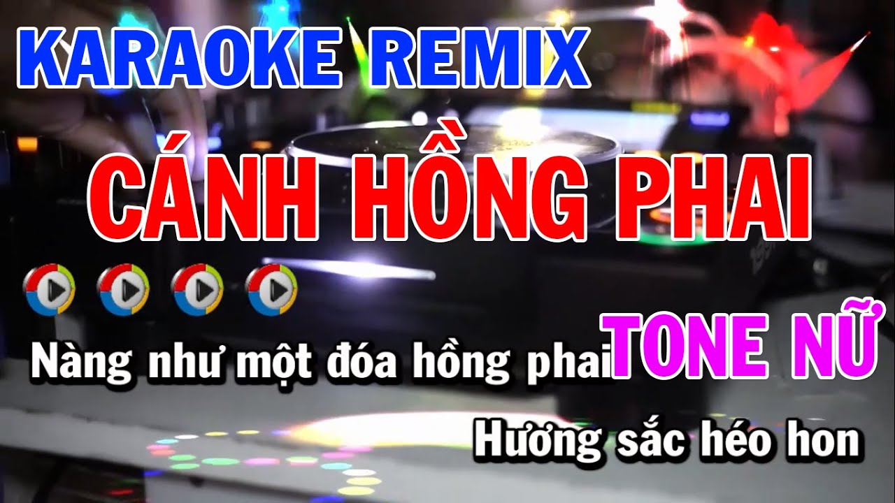 Cánh Hồng Phai EDM Remix Karaoke | Tone Nữ