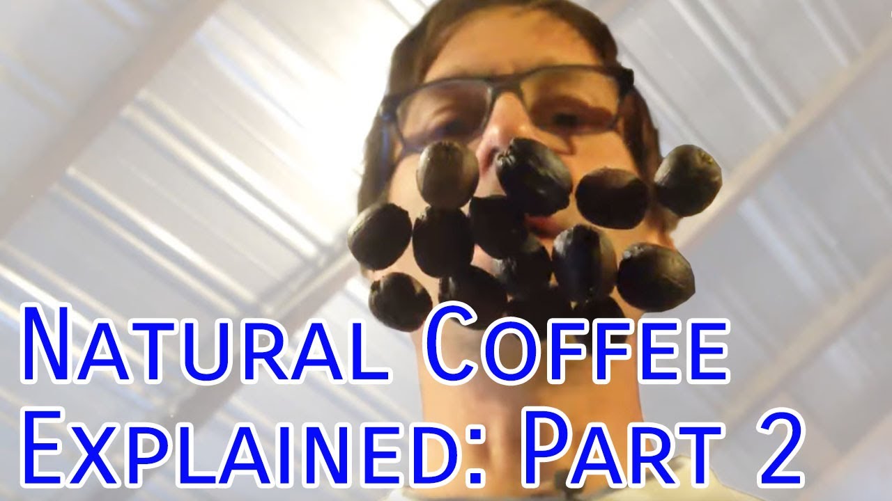 Natural Coffee Explained: Part 2