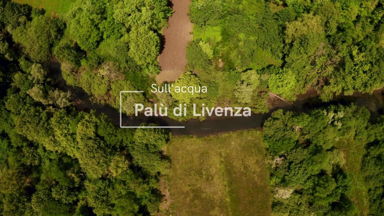 Itinerari, ecco Palù di Livenza: un tuffo nella preistoria tra le palafitte degli antenati