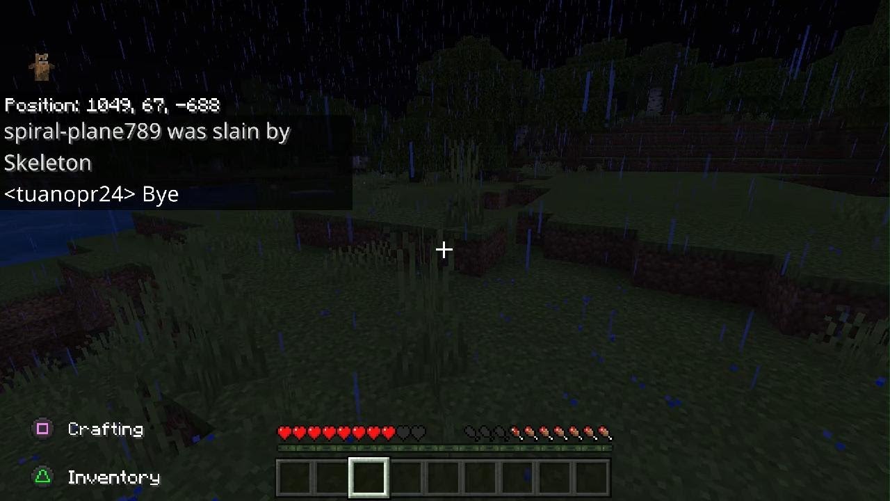 PLAYING MINECRAFT WITH TITOTOTTERS