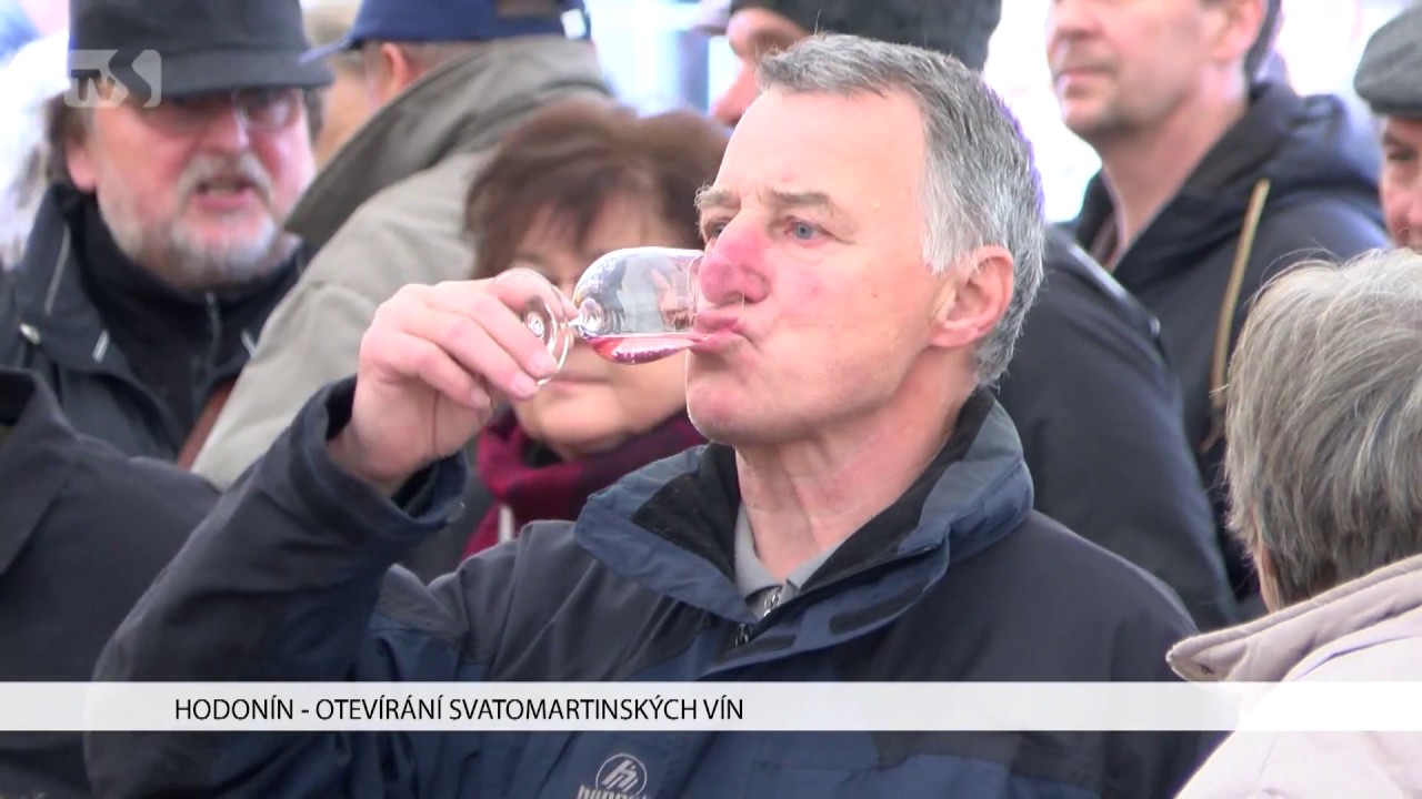 TVS Hodon&iacute;n - 14. 11. 2017