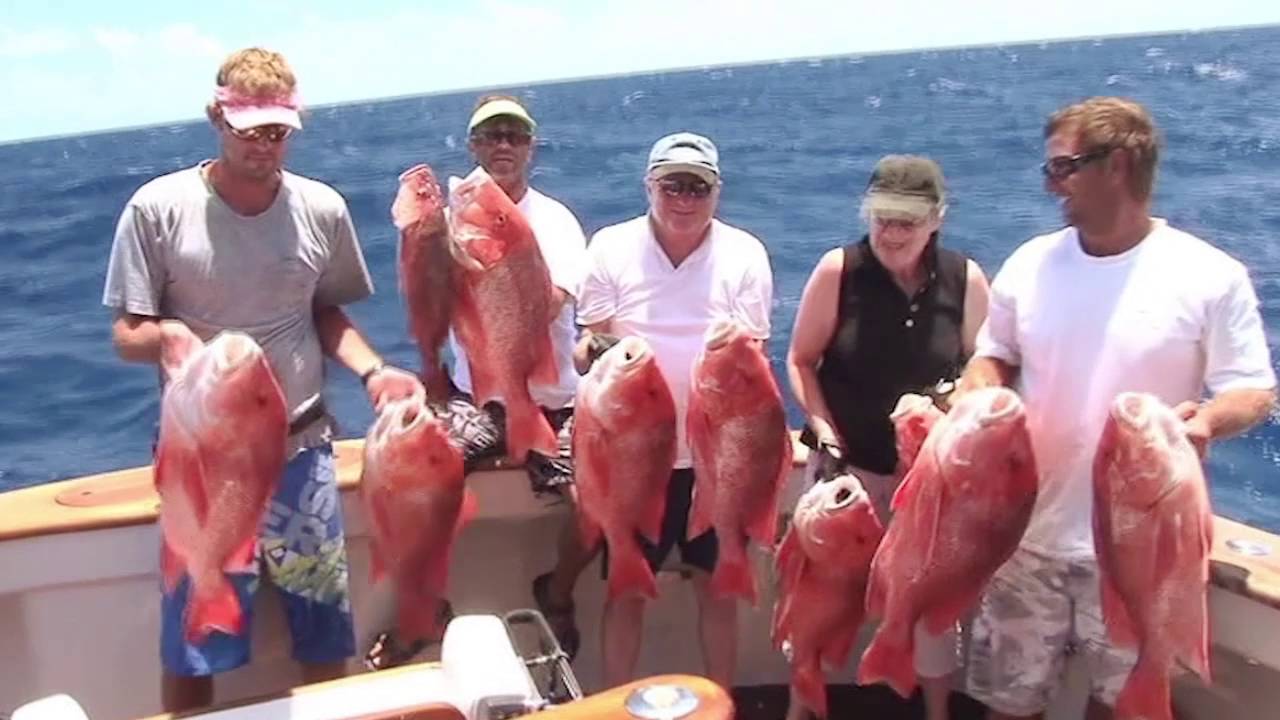 Hardcore Game Fishing - Website Video