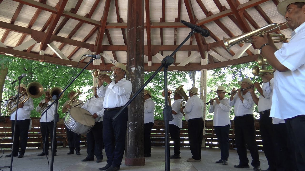 Fanfara de la Valea Mare la Festivalul Fanfarelor Botosani 2021