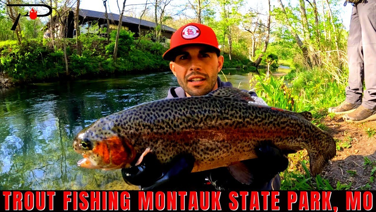 Trout Fishing Missouri's Montauk State Park