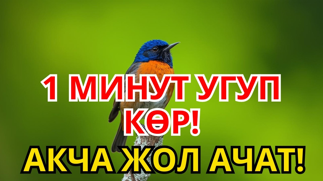 БАКЫТКА ЖОЛ АЧКАН ДУБА! 🗝️ 1 ГАНА ЖОЛУ УГУП КӨР