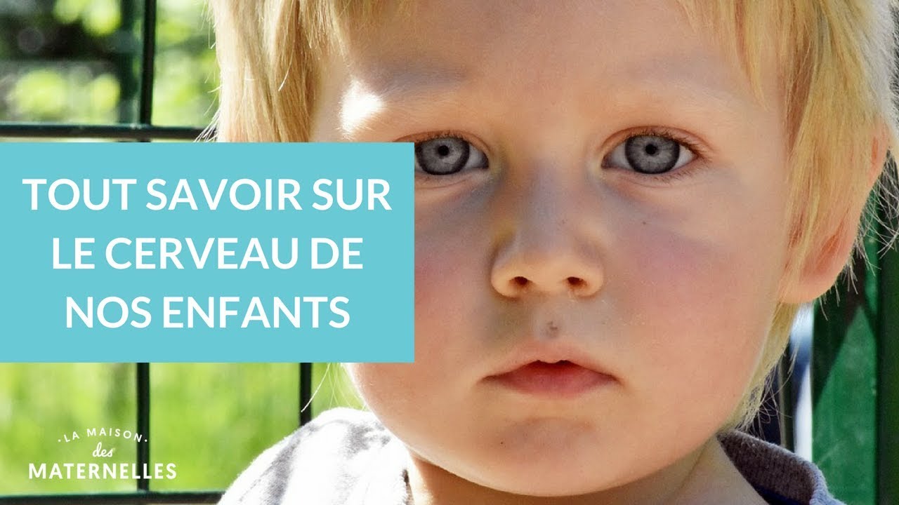 Tout savoir sur le cerveau de nos enfants - La Maison des maternelles #LMDM