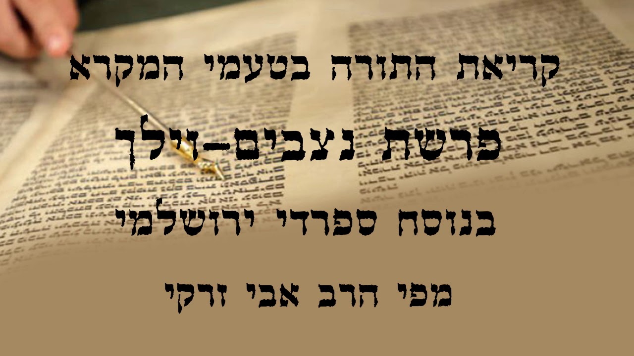 הרב אבי זרקי- קריאת התורה פרשת 