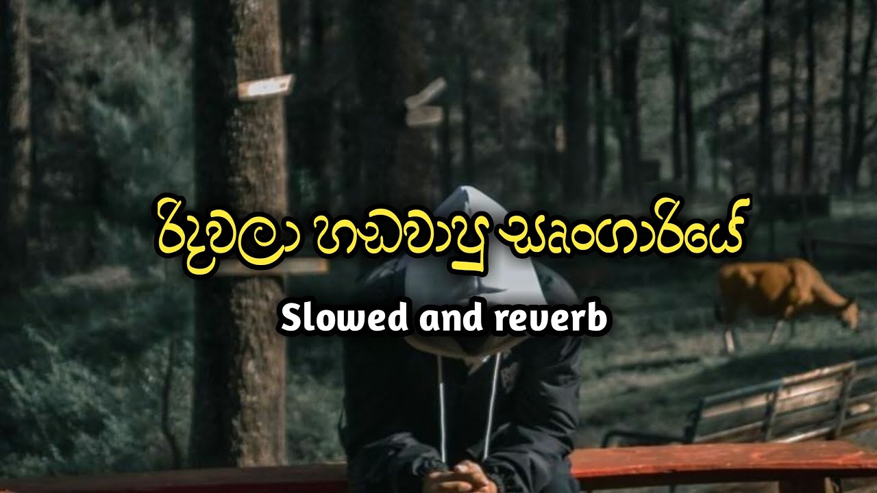 Ridawala hadawapu shungariye(Slowed+Reverb)
