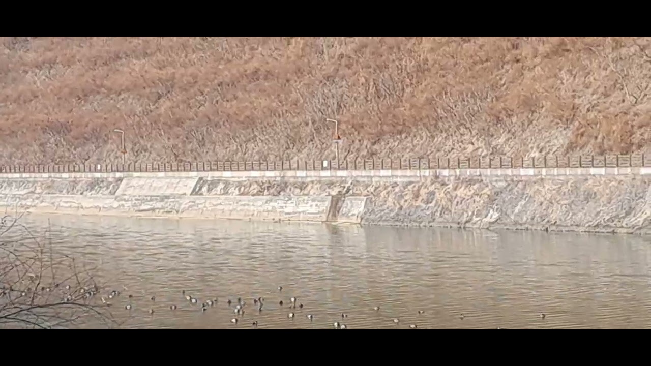 홍랑/작곡 이호섭(노래 김용우)