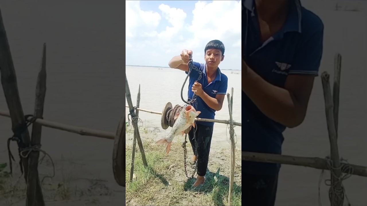 New Technique for Catching Hilsa Fish in 2025 #shorts #fishing #riverfishing