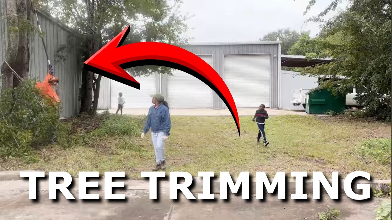 They were SCARED this OVERGROWN tree would FALL on them - Time Lapse