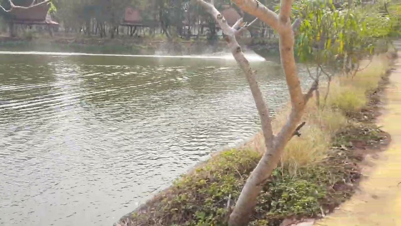 เรือท้อง V  ไซร์62 เซน วิ่งแบบสวยสวยบนน้ำใสใส สไตร์ #ไก่กระทุ่มแบนRCShop