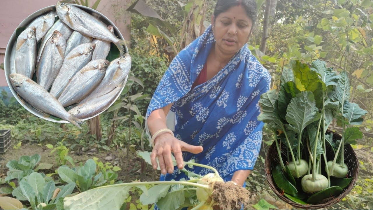 ক্ষেতের ওলকপি তুলে নদীর ফ্যাসা মাছ রান্না মাছের তেল দিয়ে পুইবিটুলী ভাজা | River Fish Curry Recipe