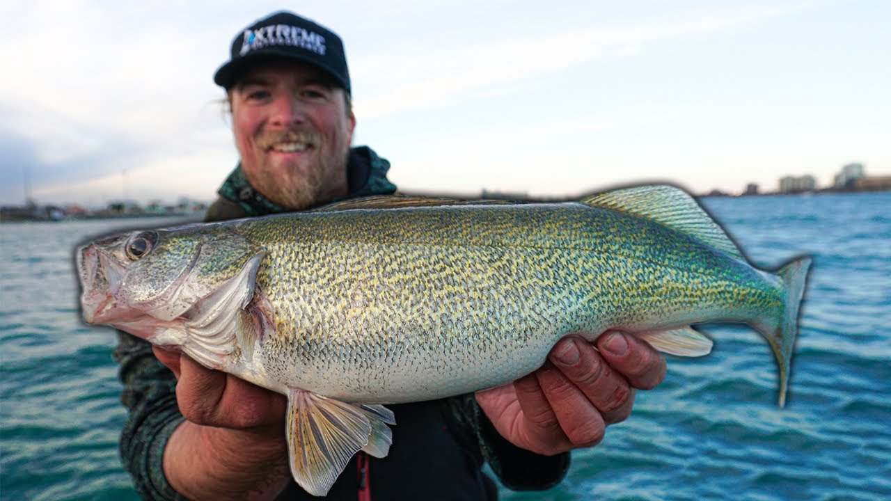 St. Clair River Walleye Jigging | Pre-Spawn Spring Walleye 2025