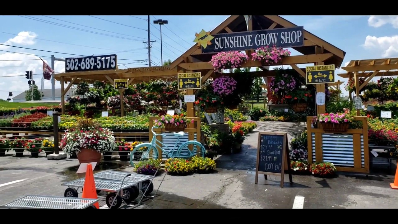 Цветочный магазин в Америке Sunshine Grow Shop.