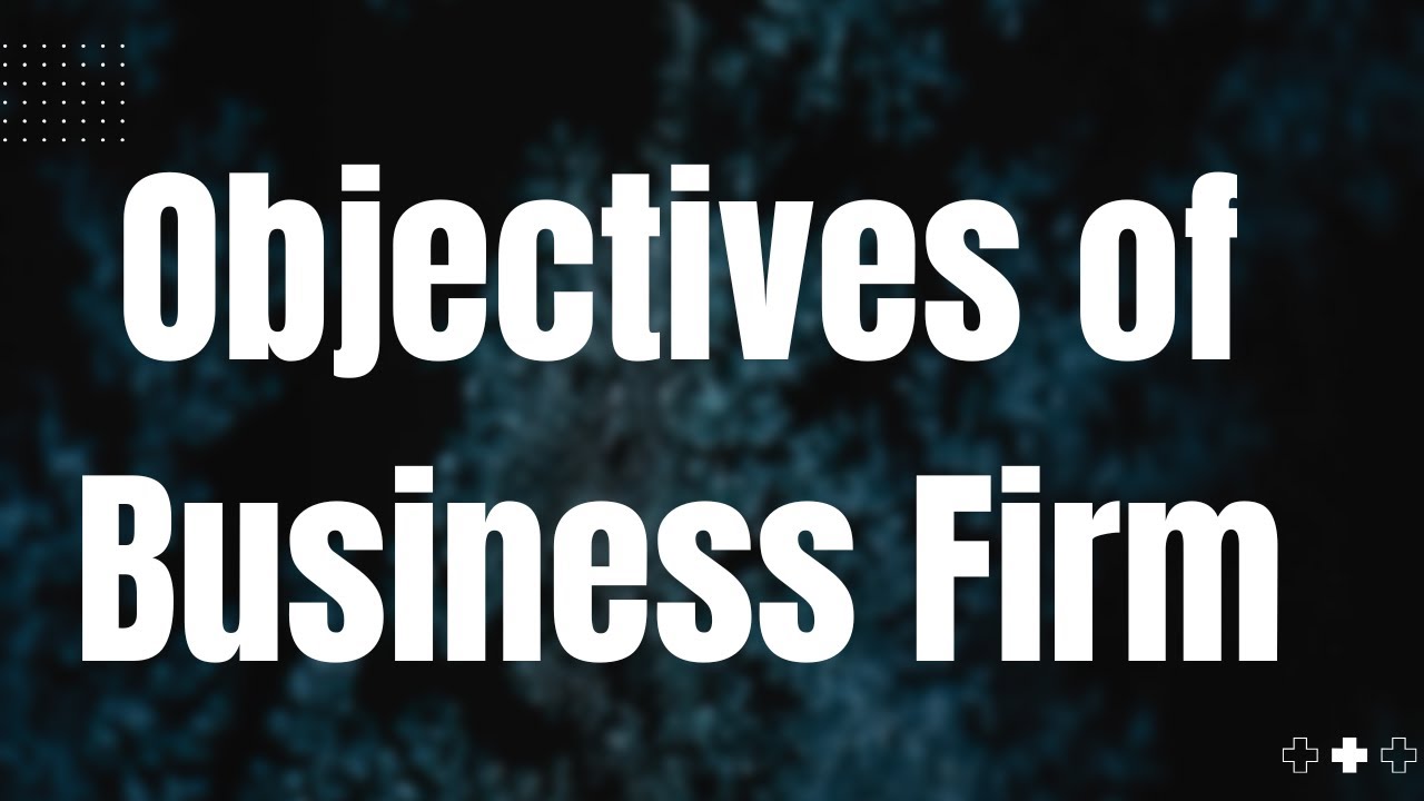 Objectives of Business Firm || Profit Maximization Objective