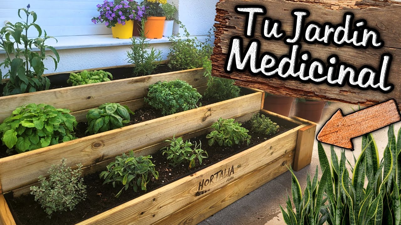 Un JARDIN HERMOSO de PLANTAS MEDICINALES ! Las 10 Plantas MÁS Curativas | Menta, Orégano, Albahaca