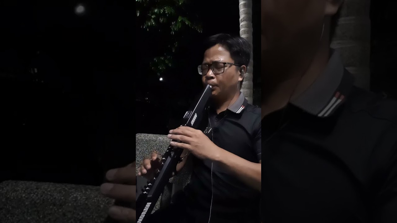 Chuyện tình người đan áo - Sáo điện tử