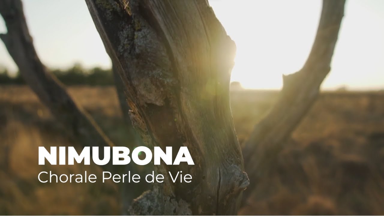 Perle de Vie - Nimubona (Lyrics Video)