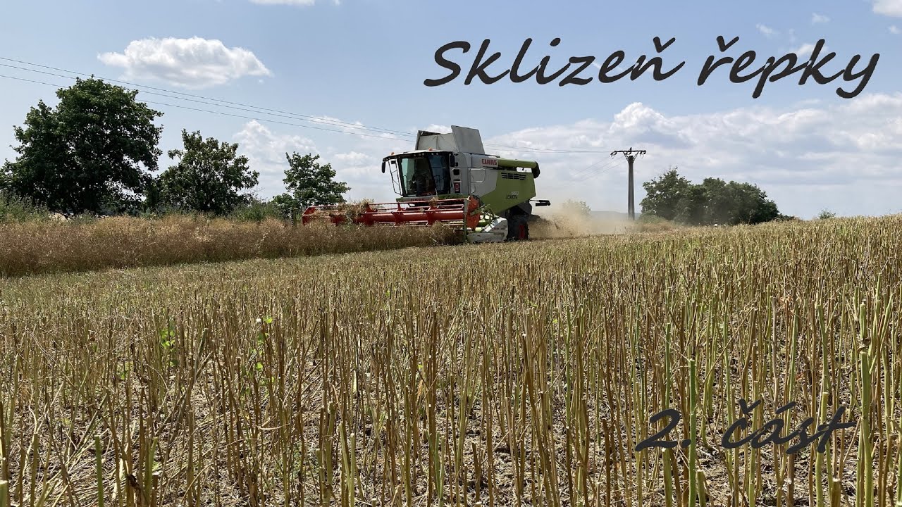 Žně/Harvest 2021 - ZD Dřevohostice - Sklizeň řepky - Cab view - 2. část