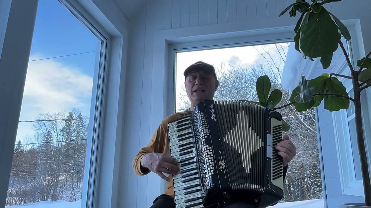Happy New Year (ABBA), accordion