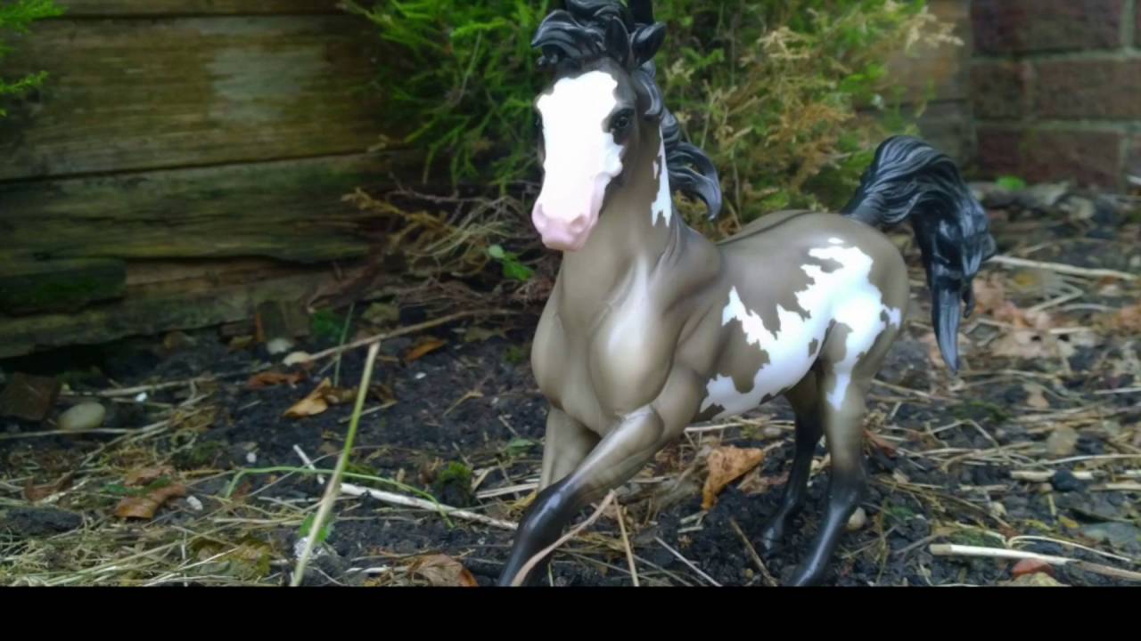 Breyer movie- photography