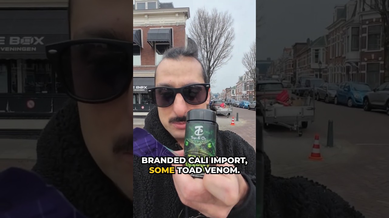 Нашла новое сокровище прямо на пляже в Гааге @coffeeshopthebox