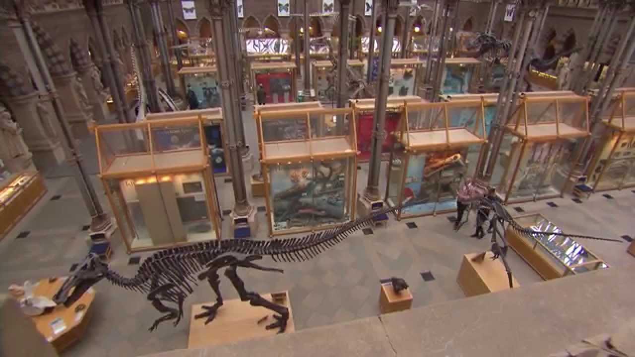 Oxford Sparks: Give us a Hand - what's chirality?