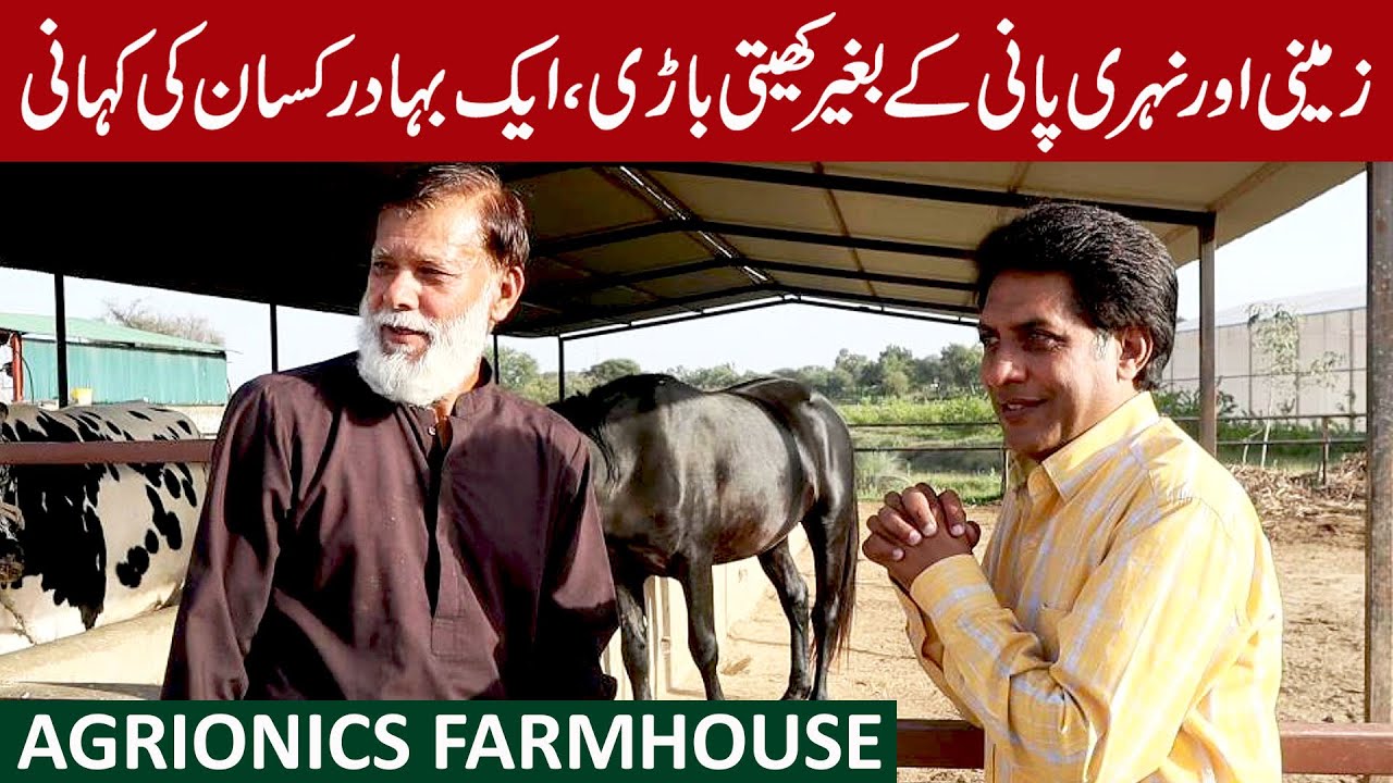 AGRIONICS Farmhouse Tour | Brave Farmer of Potohar | May 2024