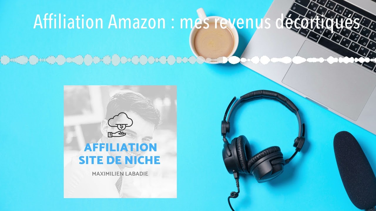 Affiliation Amazon : mes revenus d&eacute;cortiqu&eacute;s