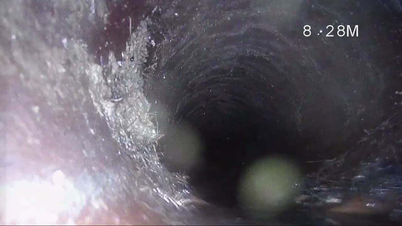 2815 -1- 20260312 113544 00000018 00N