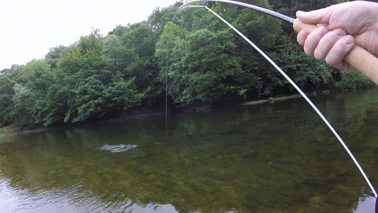 Irish salmon angling