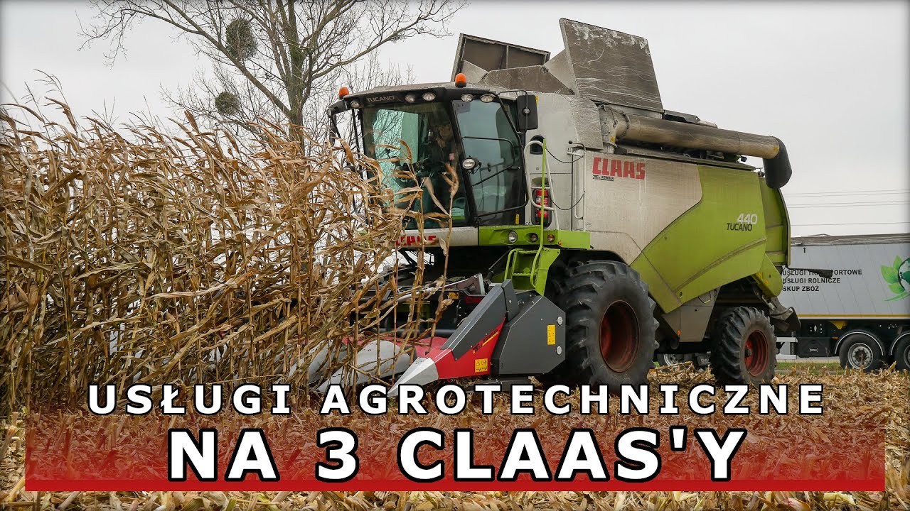 Koszenie KUKURYDZY na 3 CLAASY – Usługi Agrotechniczne Szudzik | 2 x MEDION + TUCANO