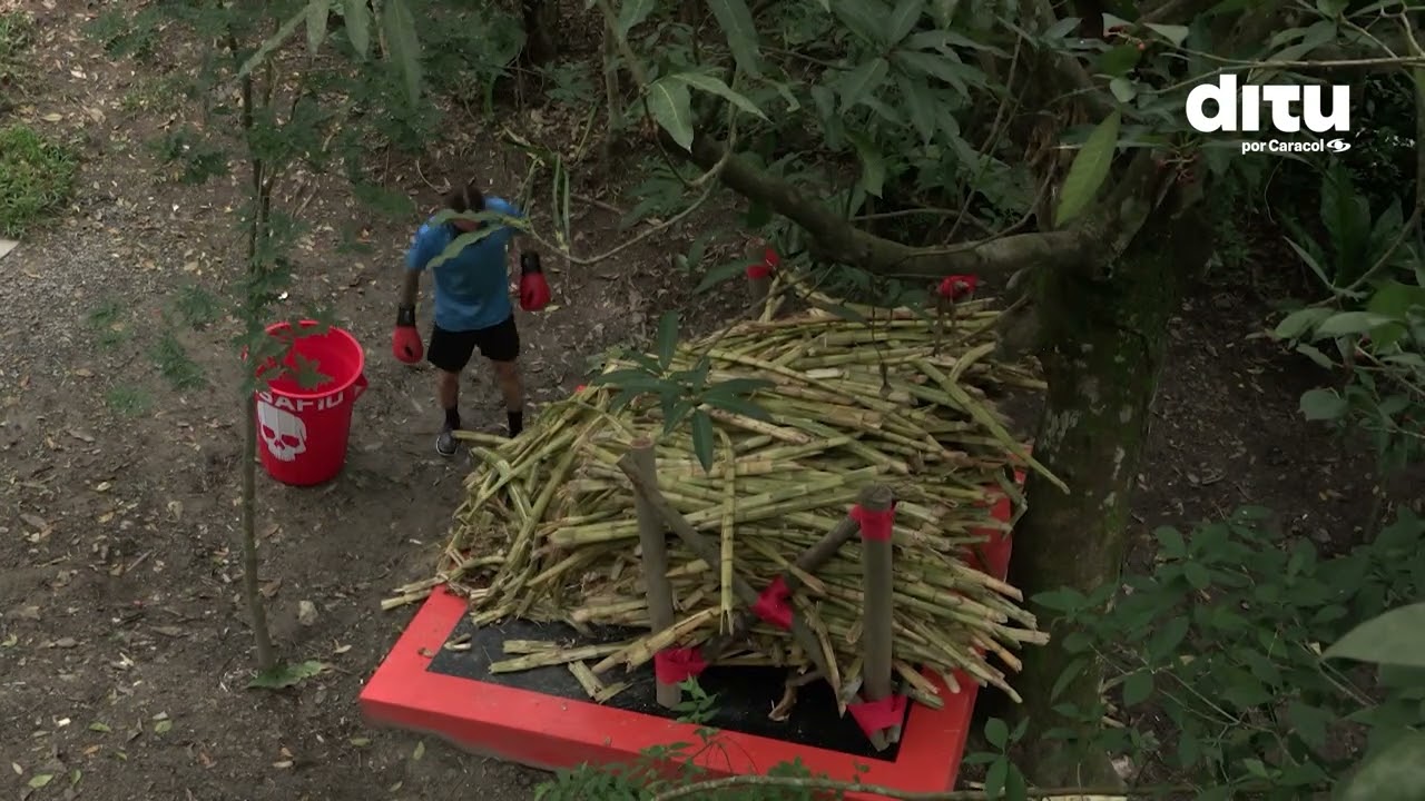 Gamma logra superar su castigo con actitud positiva en el Rincón de los Castigos - DITU
