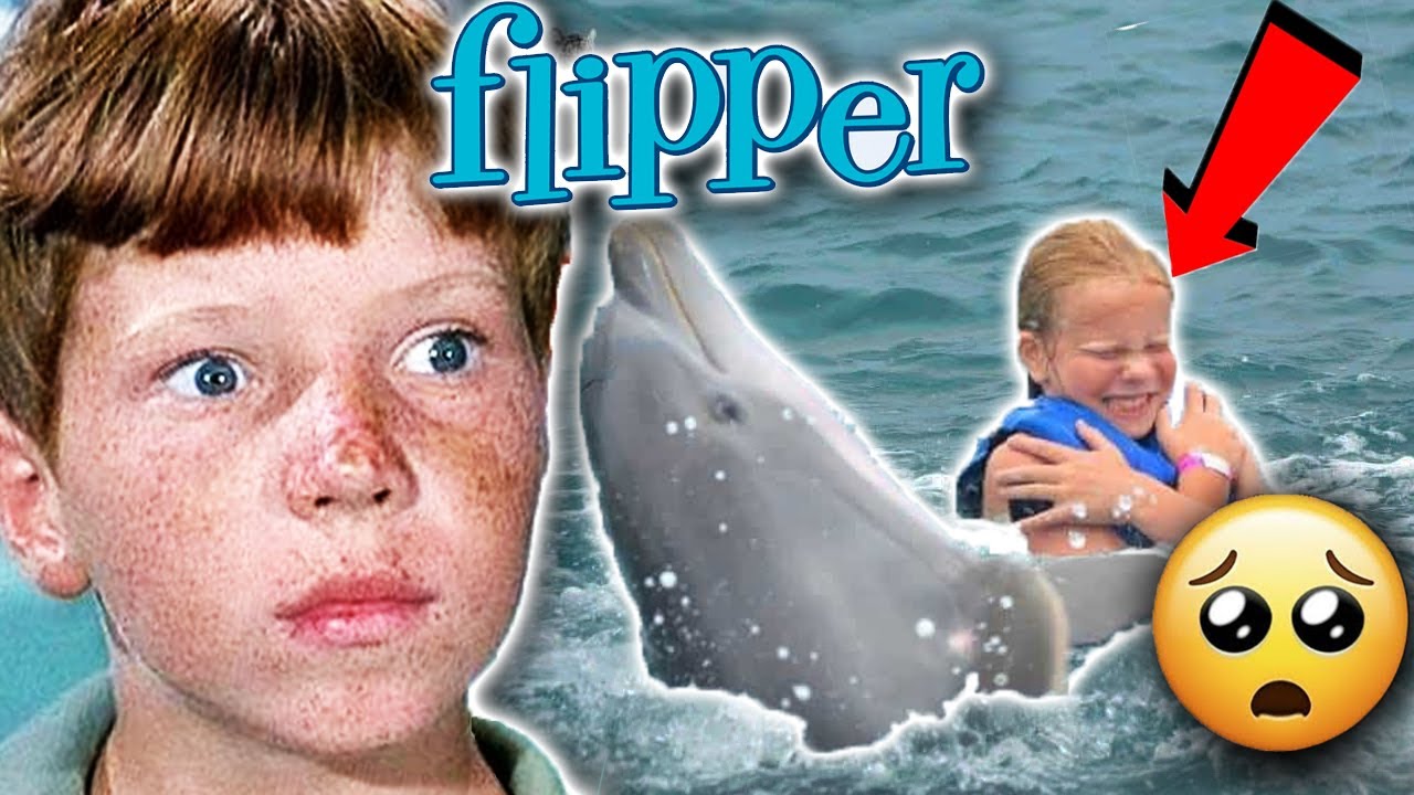 The TRAGIC ACCIDENT That ENDED 'FLIPPER' for Good