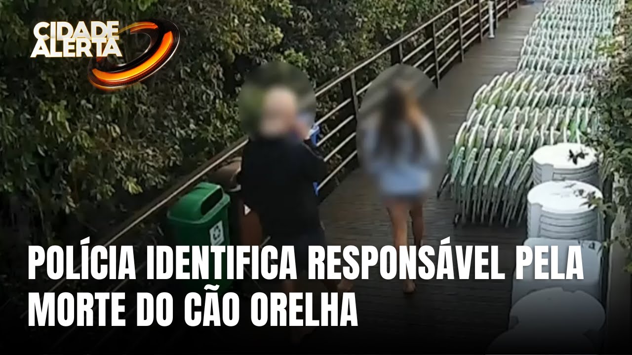 Novos desdobramentos: polícia identifica responsável pela morte do cão Orelha