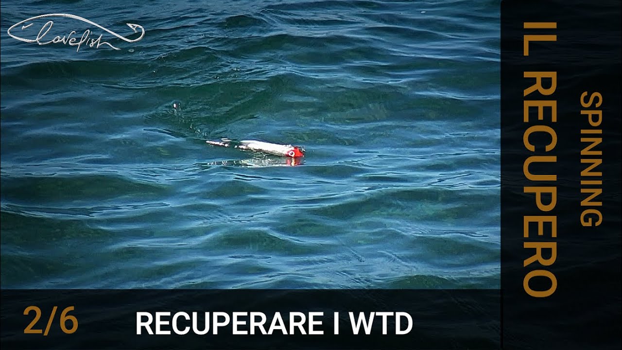 Come recuperare i WTD (Walking The Dog)