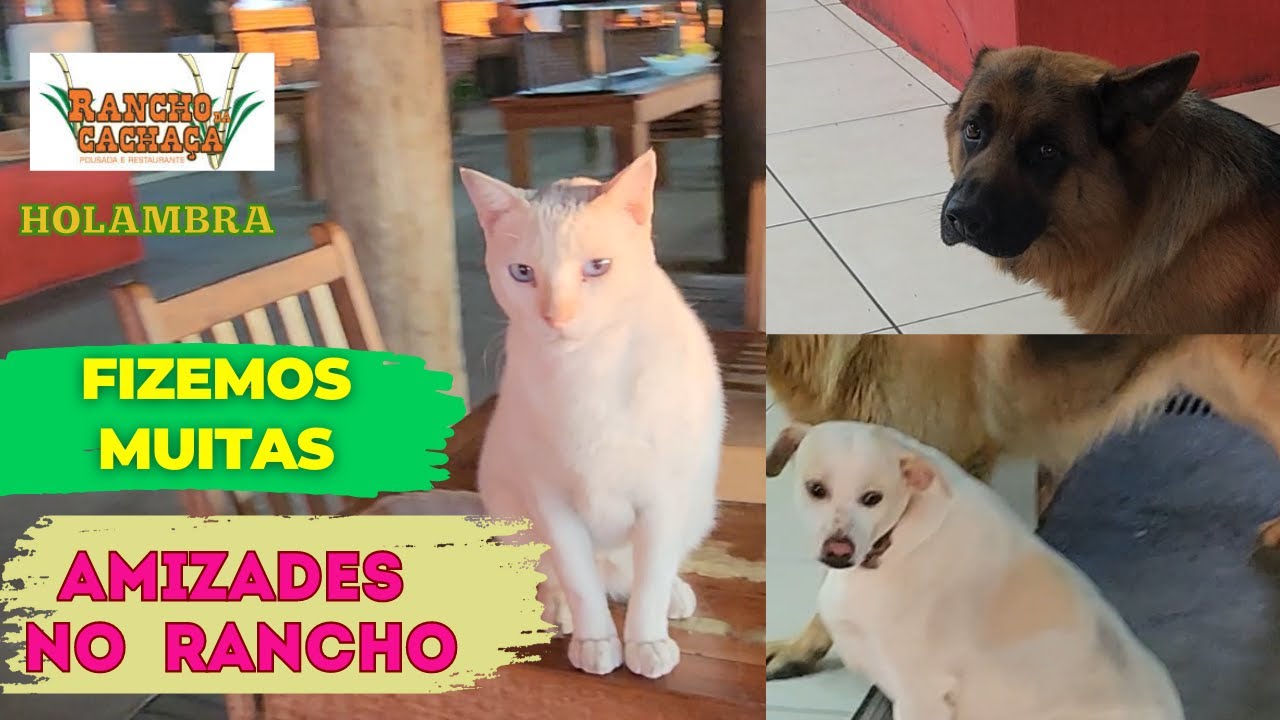 FIZEMOS MUITAS AMIZADES EM HOLAMBRA - Cidade das Flores | Pousada Rancho da Cachaça para descansar