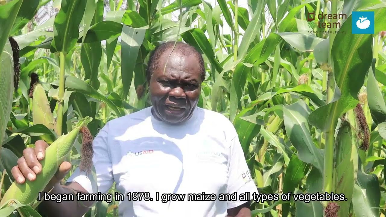 Maize Farming with Biochar in Kenya | CETC IL IPM Packages Success Stories