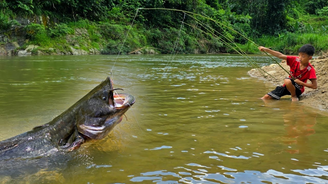 The technique of fishing big in the big stream of Bac boy, Bac brought the kind man a fish.