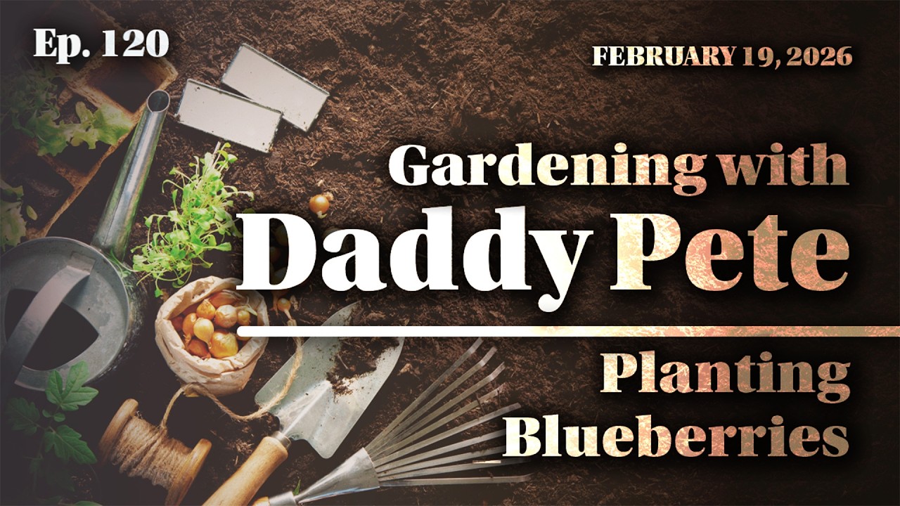 Gardening with Daddy Pete: Planting Blueberries - Ep. 120 - February 19, 2026