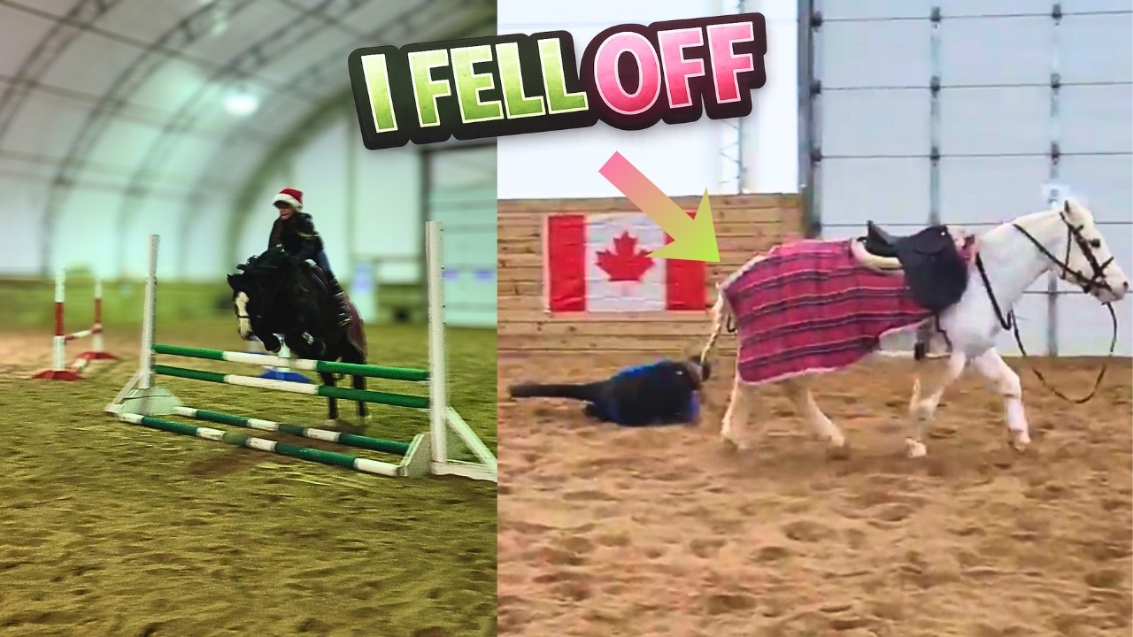 My Jumping Progression of 2026… (I Fell Off 😬🐴)