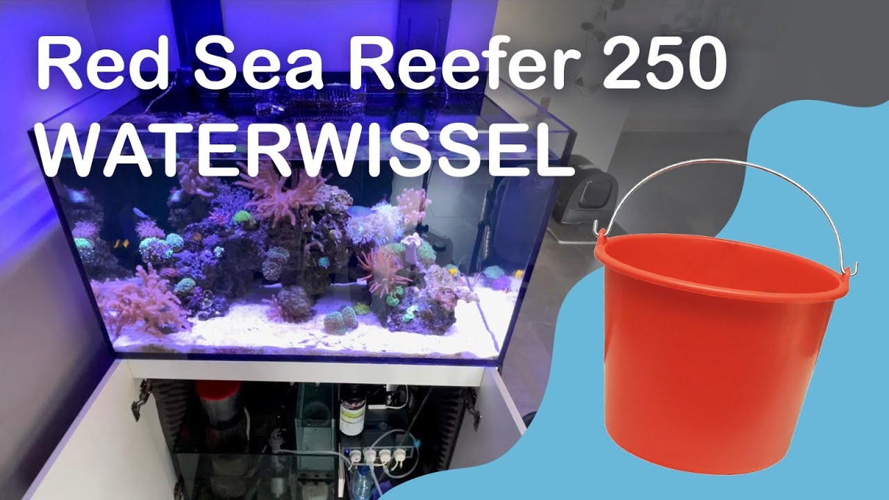 Hoe ververs je MAKKELIJK water van een zeeaquarium/zoutwater aquarium? (Waterwissel/schoonmaken)