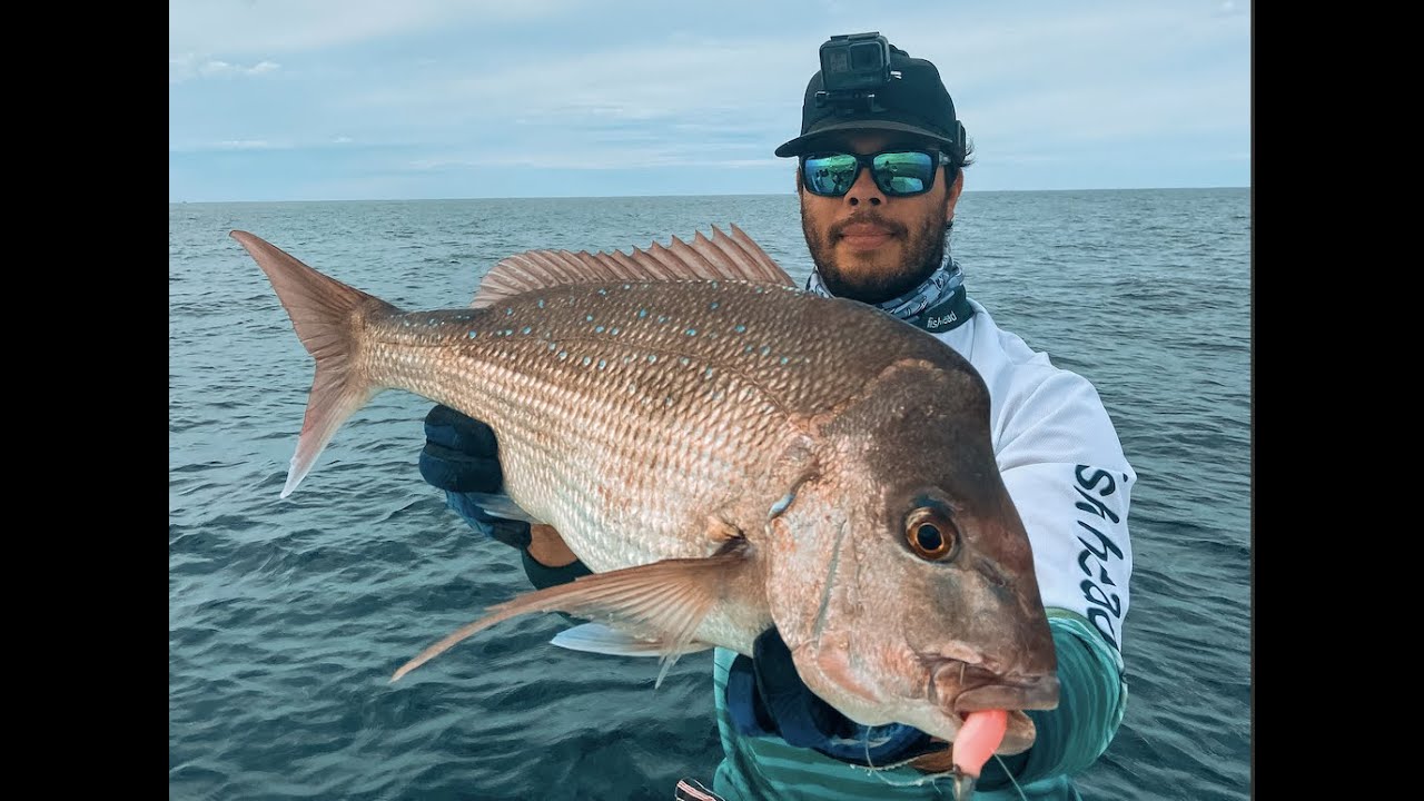 Snapper, GT and Red Rock Cod - Stradbroke Island Fishing