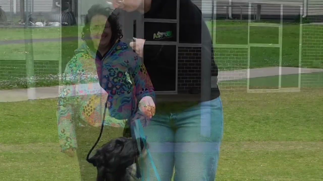 Koo Wee K9 Bootcamp, Looking back on  2025