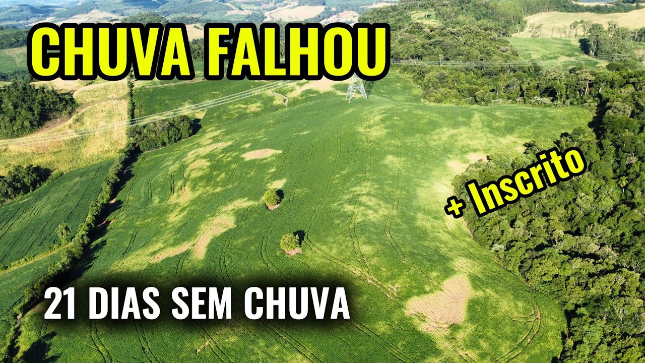 🌱CHUVA FALHOU, SEMANA DE CALOR EXTREMO E SAFRA DE SOJA COMPROMETIDA