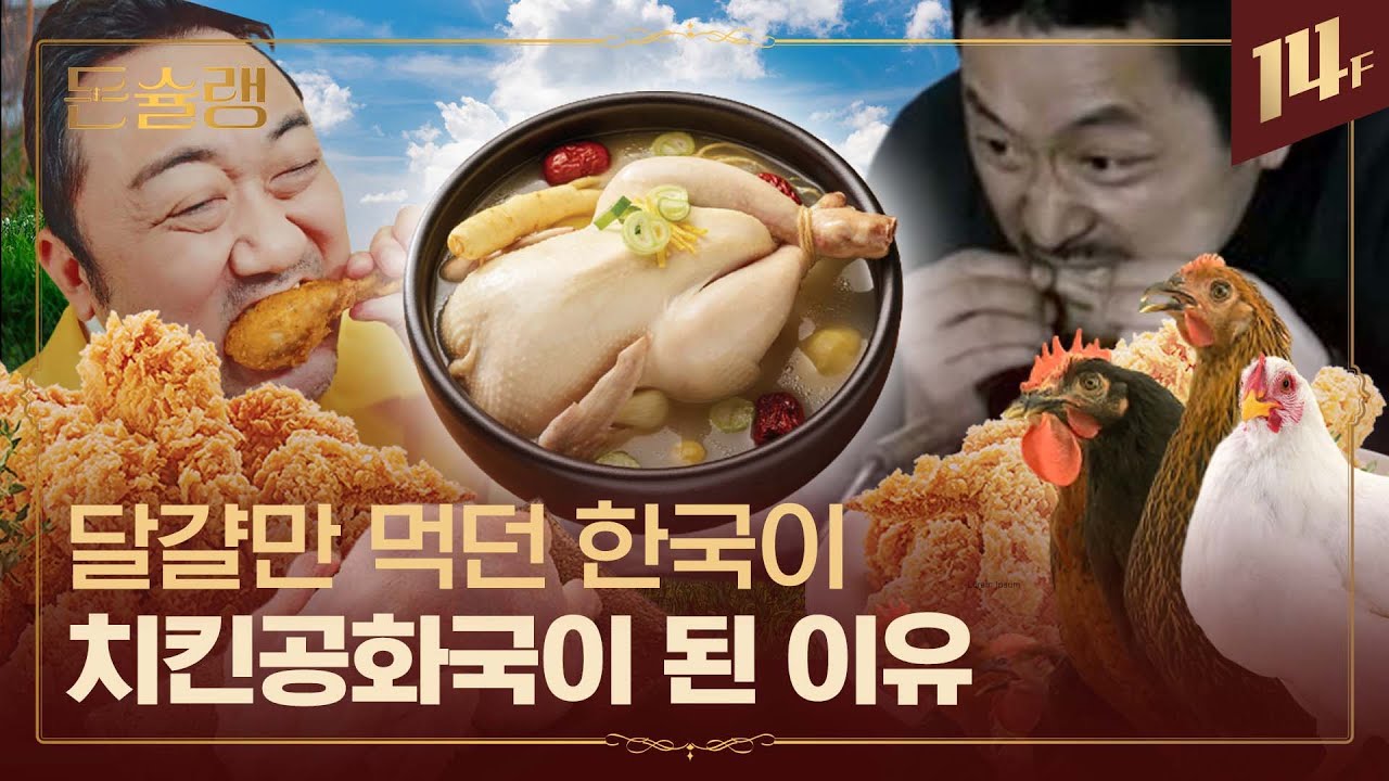 🐔우리가 먹는 '작은 닭'에 숨겨진 비밀? 치킨공화국을 만들어낸 육계 산업 전쟁🥄ㅣ돈슐랭 / 14F