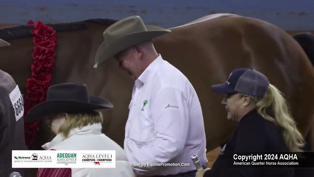 Aged Geldings - 2024 AQHA World Championship Show